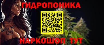 СК Кимры