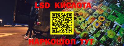 прущие грибы Кингисепп