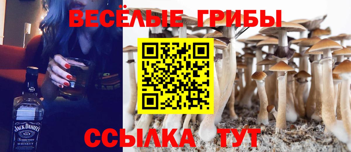 Псилоцибиновые грибы MAGIC MUSHROOMS Балтийск