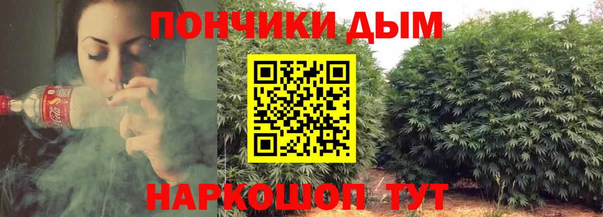 Каннабис OG Kush Балтийск